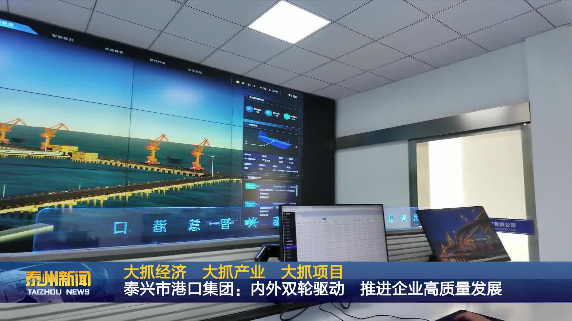 大抓经济 大抓产业 大抓项目  泰兴市港口集团：内外双轮驱动 推进企业高质量发展